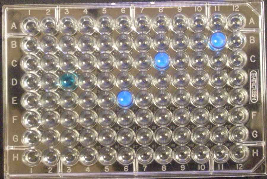 3 positive wells E coli MPN 8