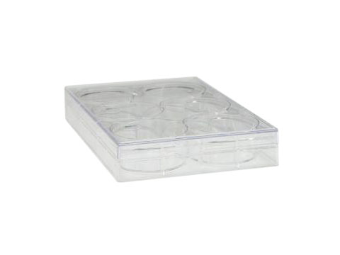  6 Well MicroplateSterile Plate2 white