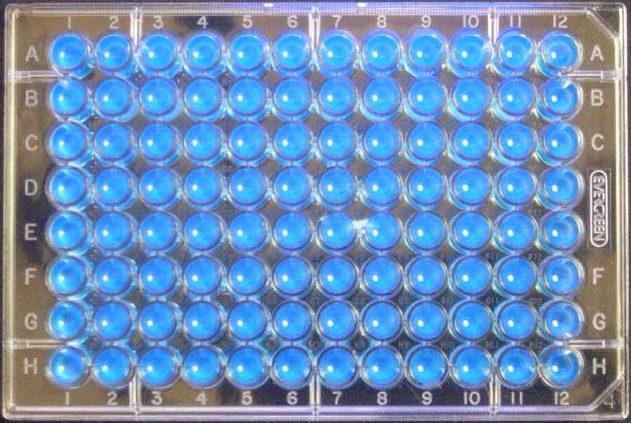 96 positive wells for E coli MPN greater than 2424