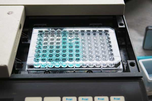 acute toxicity test plate