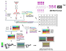 ames 384 ISO Mutagenicity Flow Chart
