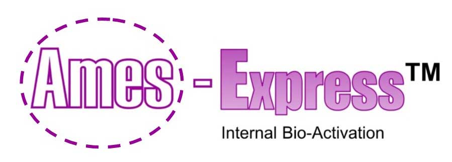ames expess logo
