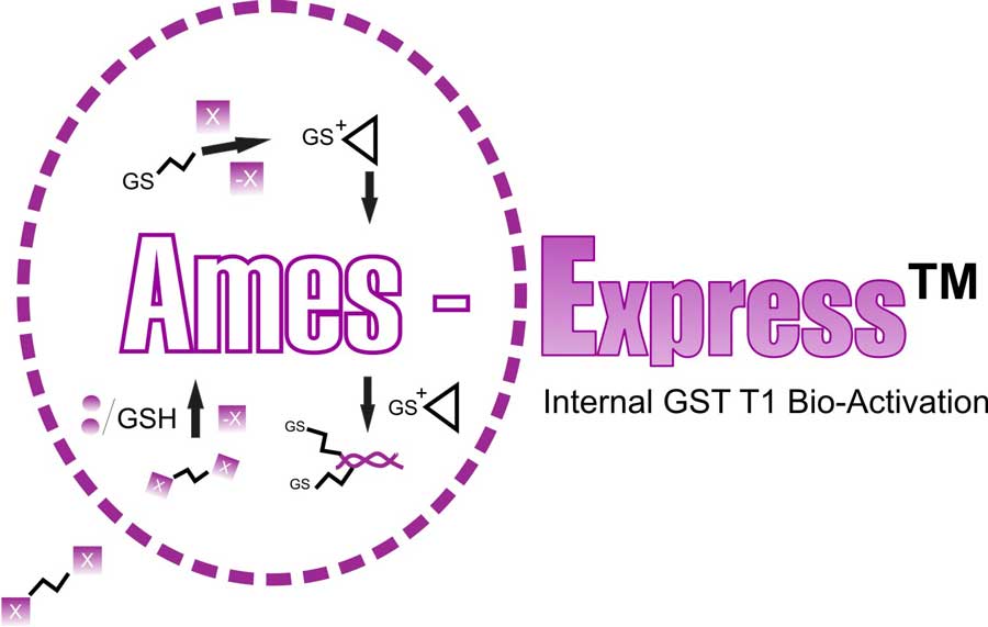 ames Express GST T1 1 logo