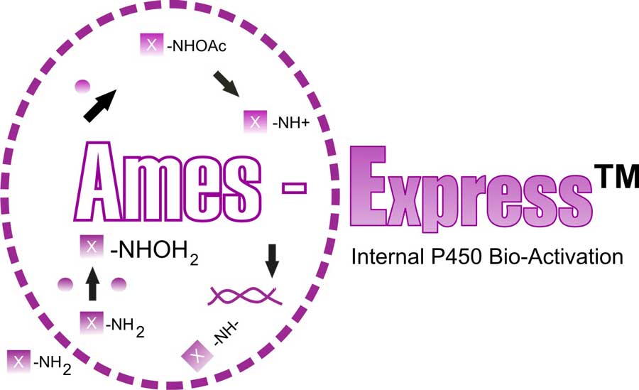 ames Express P450 1A2 logo