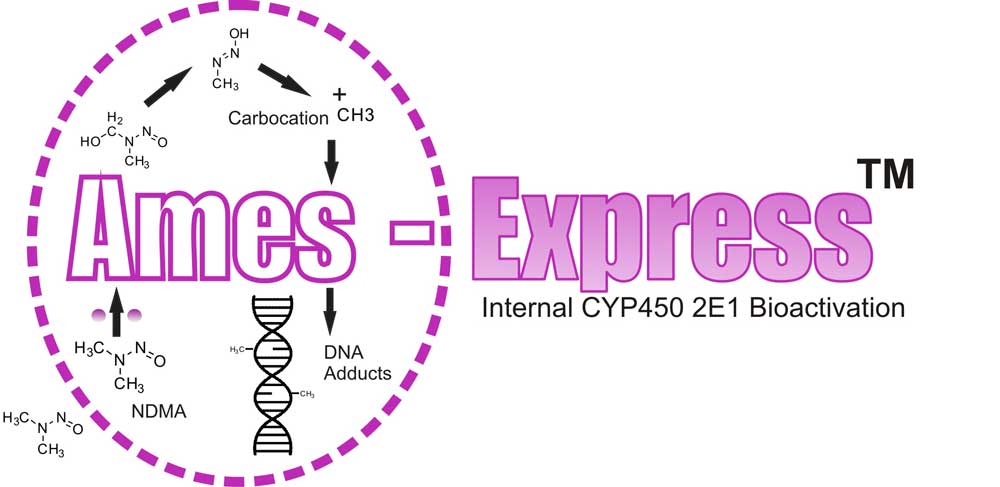 ames Express P450 2E1 logo