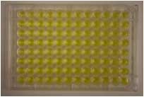 ames Test Positive Control Plate4