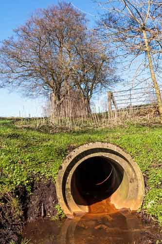 bacterial characterization labpipe