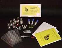 brachionusCalyciflorus Presentation