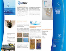 coliPlate ecoliTesting Handout