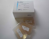 coliPlate ecoliTesting MPN Sheet