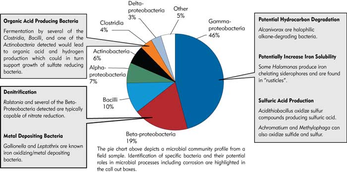 dna analysisCharacterization census qPCR