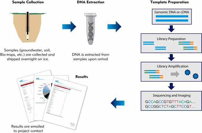 dna analysisCharacterization Next Generation Sequencing