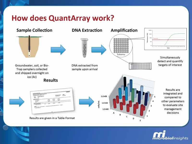 dna analysisCharacterization quantarray