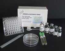 duckweed ToxicityTesting Kit Presentation