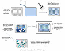 ecoliTesting Procedure