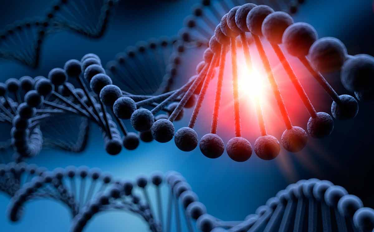 genotoxicity testing DNA lightup