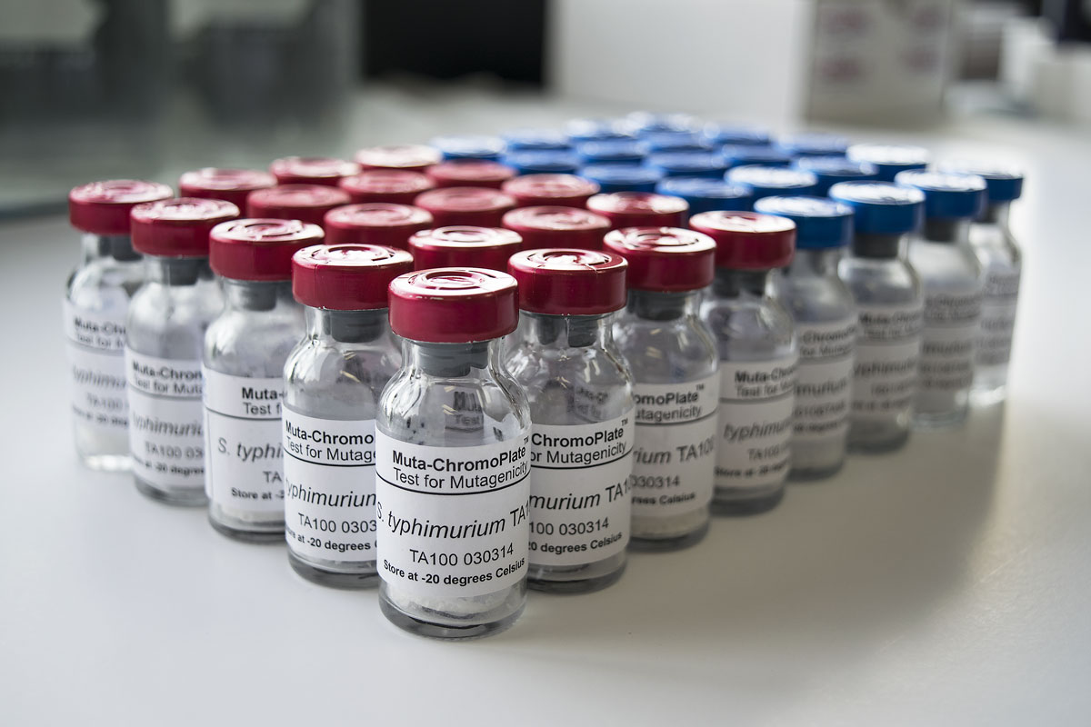 muta chromoplate amesTest viles