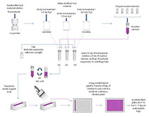 muta ChromoPlate Ames Mutagenicity Flow Chart