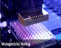 mutagenicity testing Ames