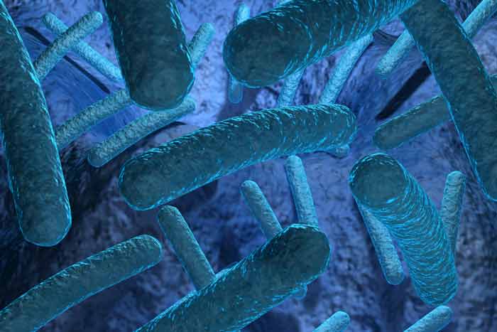 mutagenicity testing labbacteria darkblue