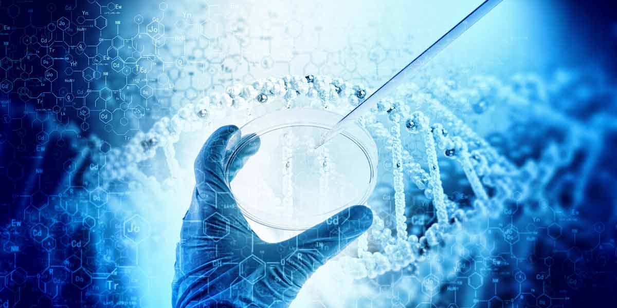 mutagenicity testing labpipetteinplatewDNA