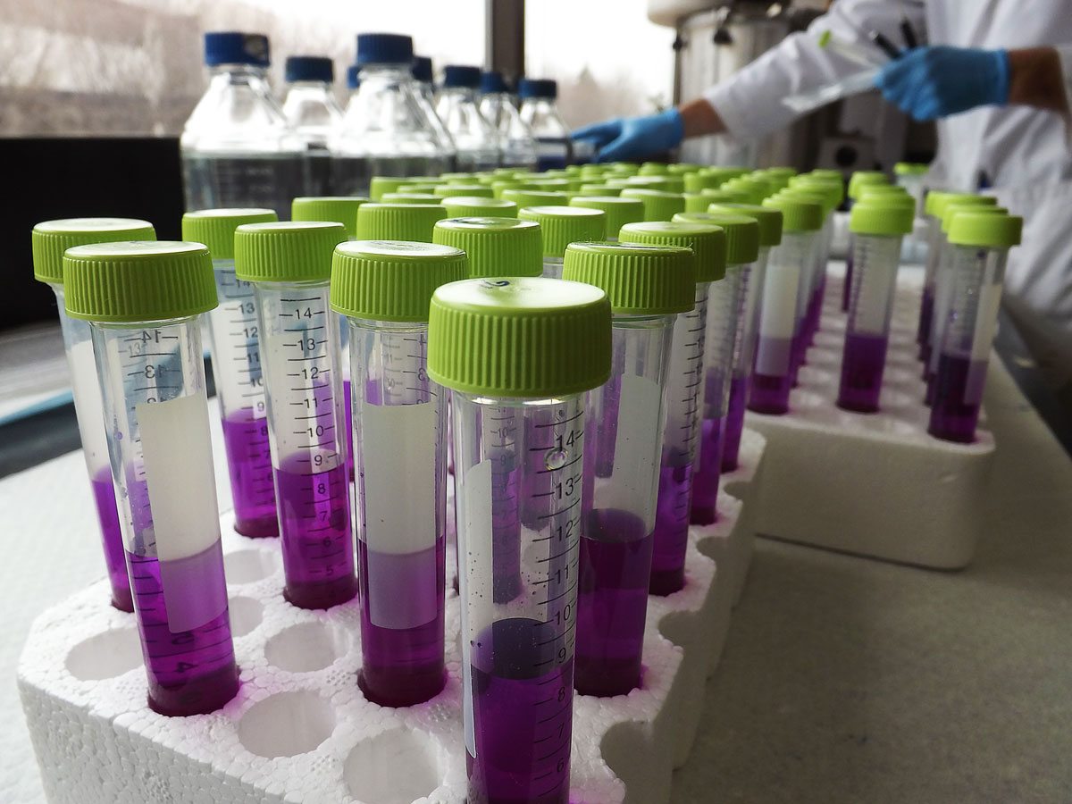 mutagenicityTesting MOD ISO tubes2