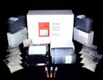 phytotoxicity Testing Kit