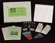 protoxkit FullProtocol Instructions