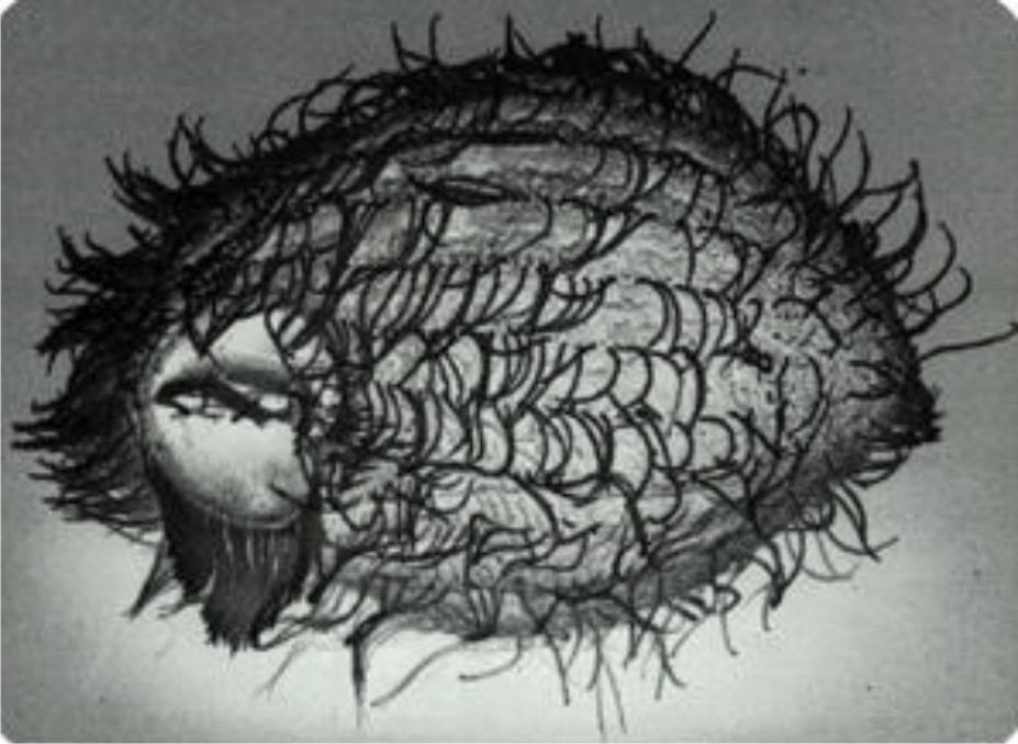 Protozoan toxicity test