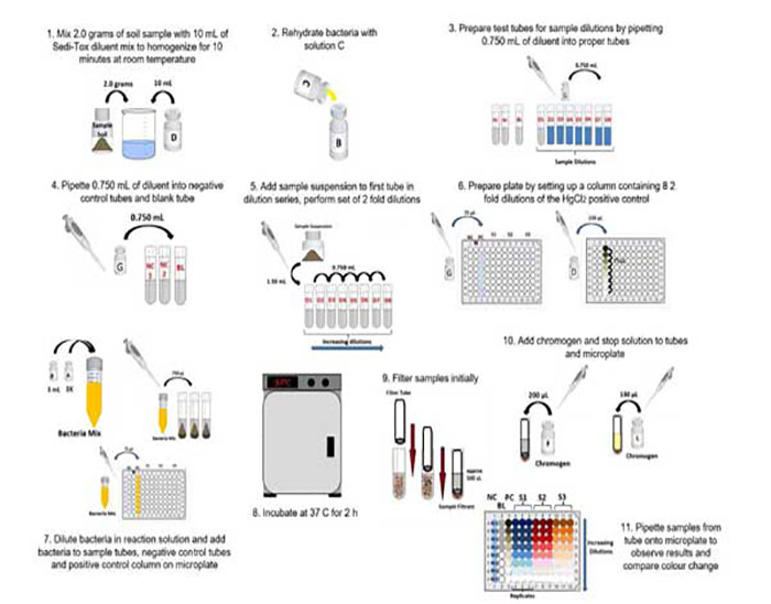 sediment Toxicity Flow Chart4