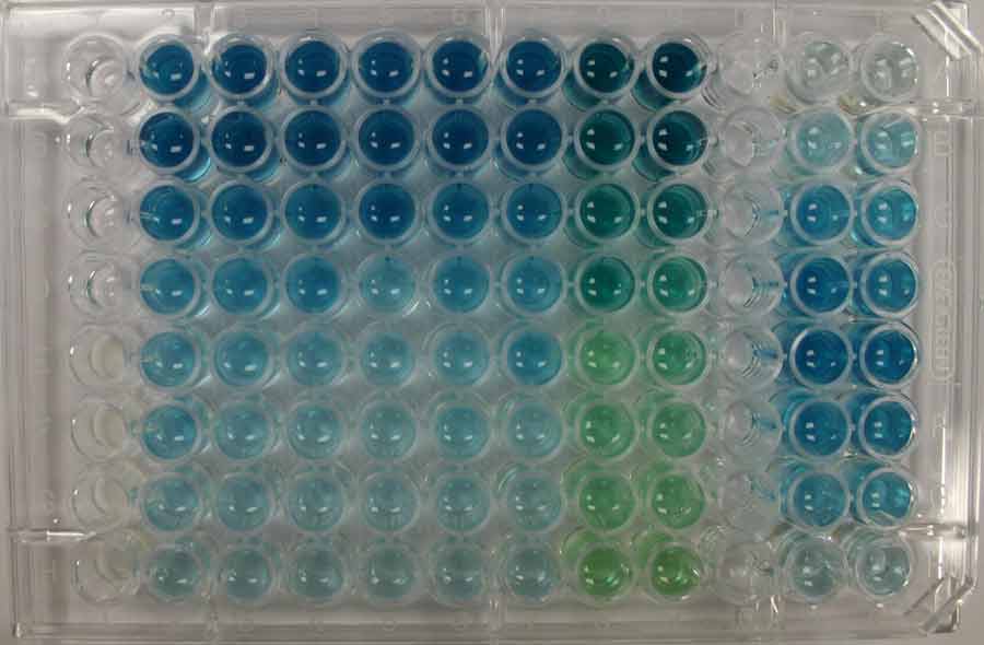 sos ChromoTest plate