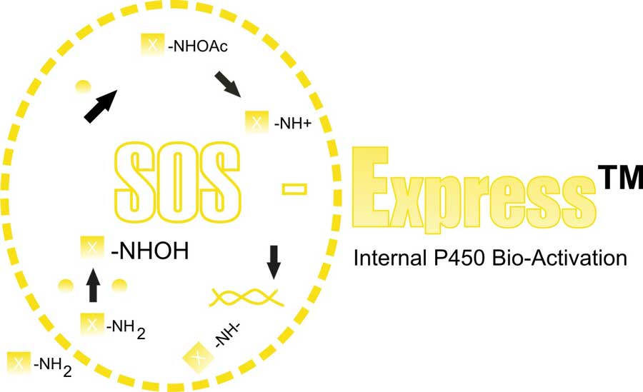 sos Express p450 logo