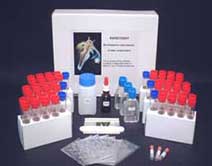 thamnocephalus RapidtoxkitPresentation