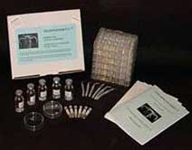 thamnocephalusPresentation