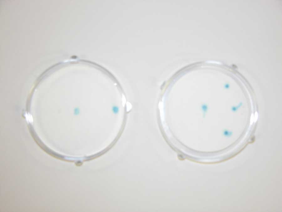 toxi ChromoPad Plate