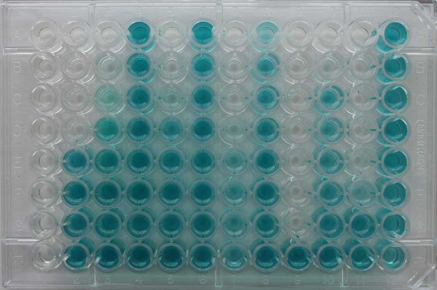 toxi ChromoTest AcuteToxicity Plate